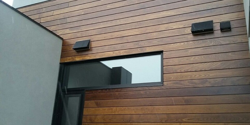 Tìm hiểu gỗ biến tính và nguồn gốc gỗ biến tính