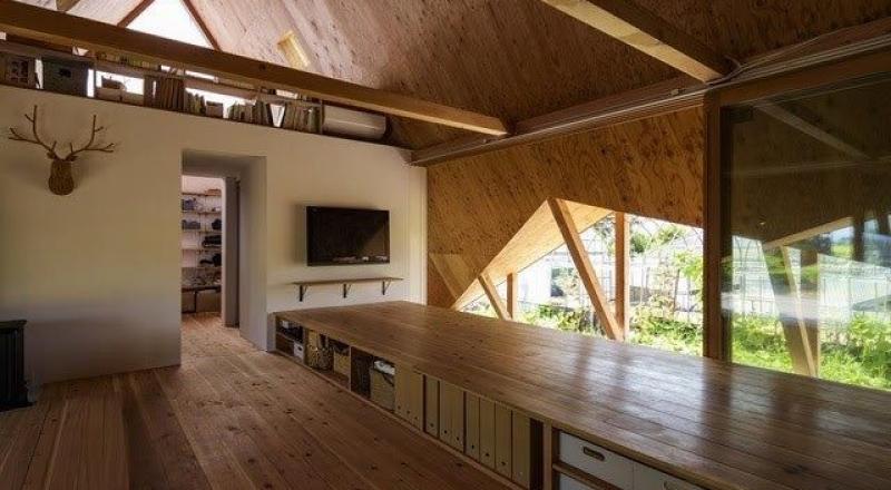 Những loại gỗ được sử dụng để sản xuất gỗ biến tính