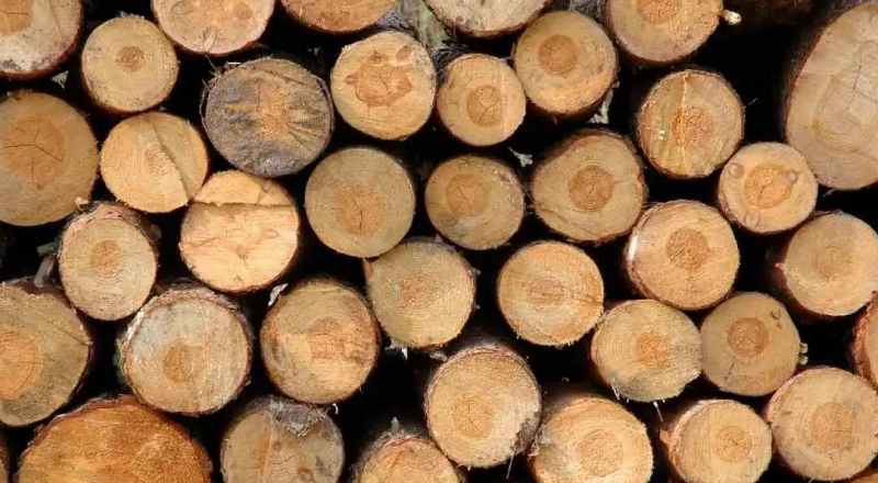 Các loại gỗ biến tính tại Javideco – Dona